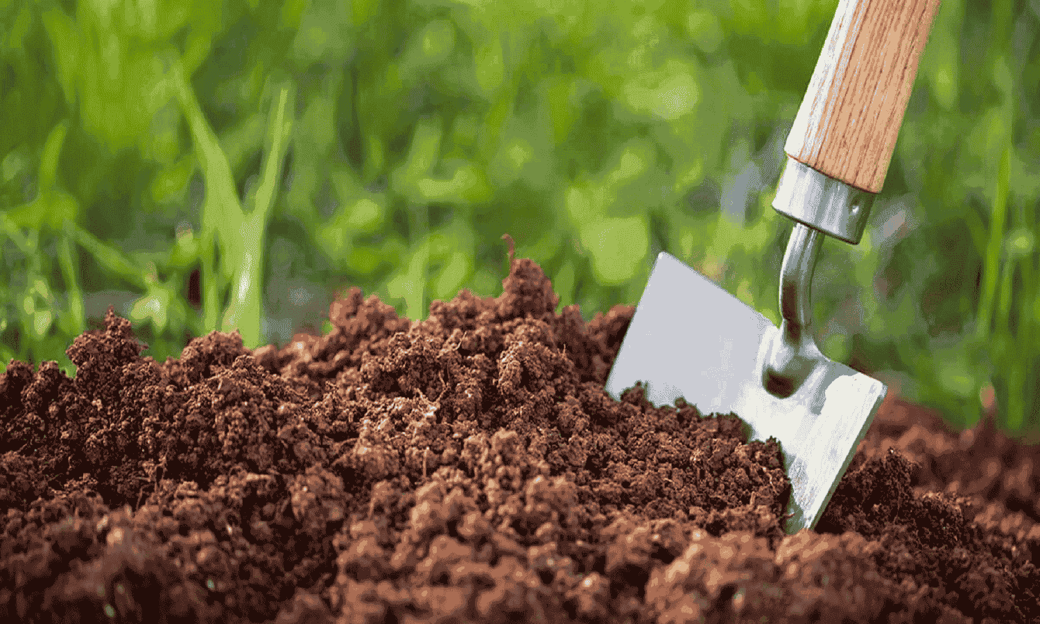 IDSC unveils prices of fertilizers, building materials on October 13

